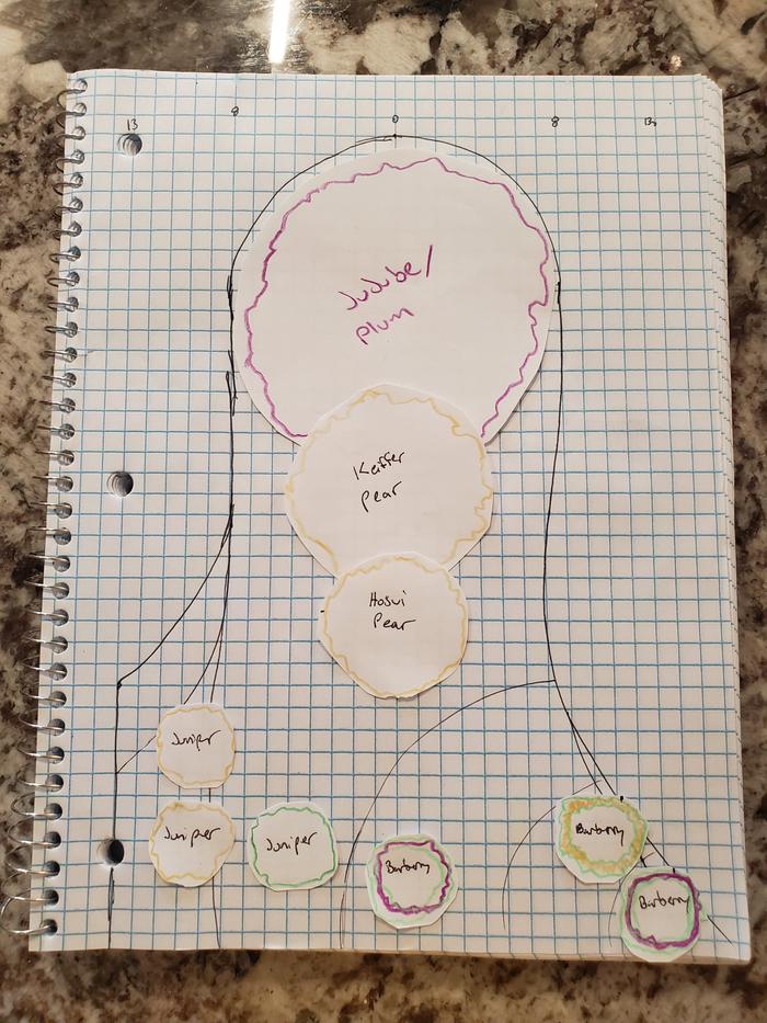 food-forest-planning-scale-paper-plan-planting