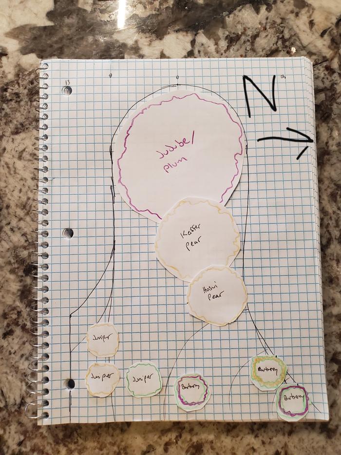 food-forest-planning-scale-paper-plan-planting