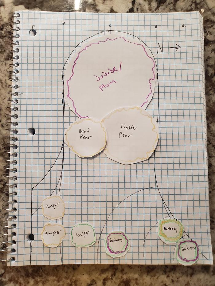 food-forest-planning-scale-paper-plan-planting