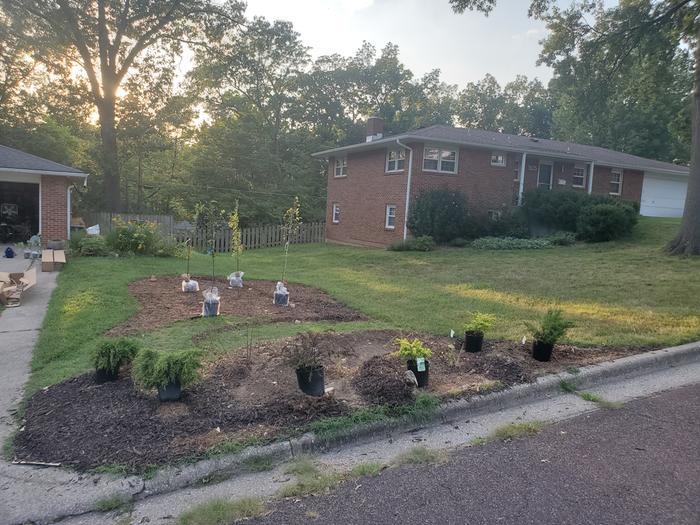 food-forest-planning-shrub-planting