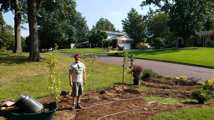 food-forest-planning-tree-planting