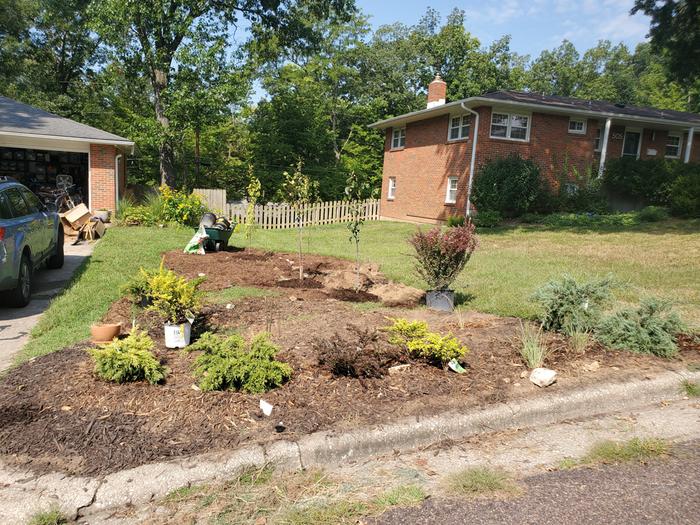 food-forest-planning-planting