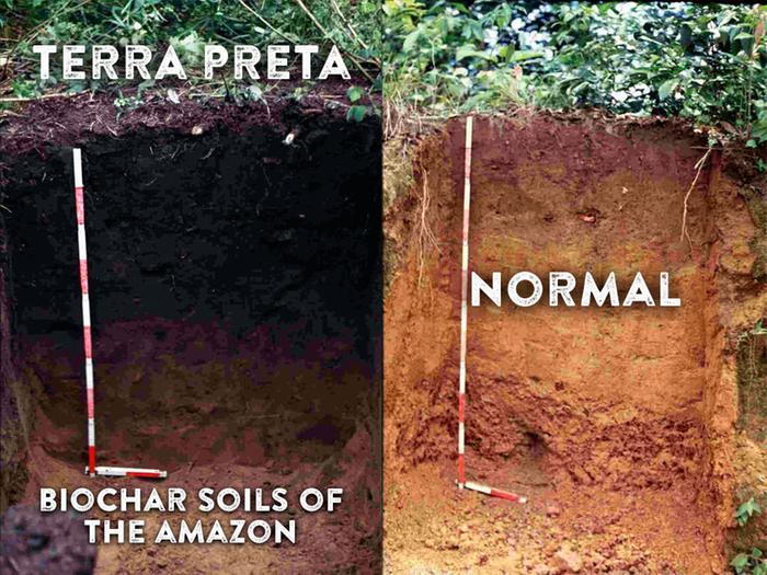 Terra Preta biochar soils of the Amazon, Ultrakultur.com