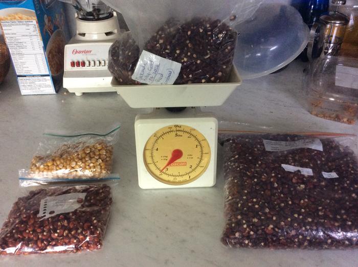 Corn seed stored and labeled