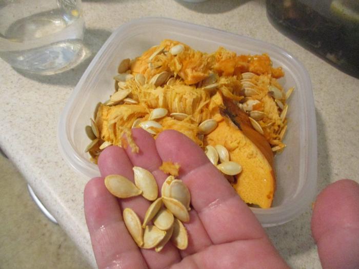 Cut up sugar pumpkin, harvesting seeds 