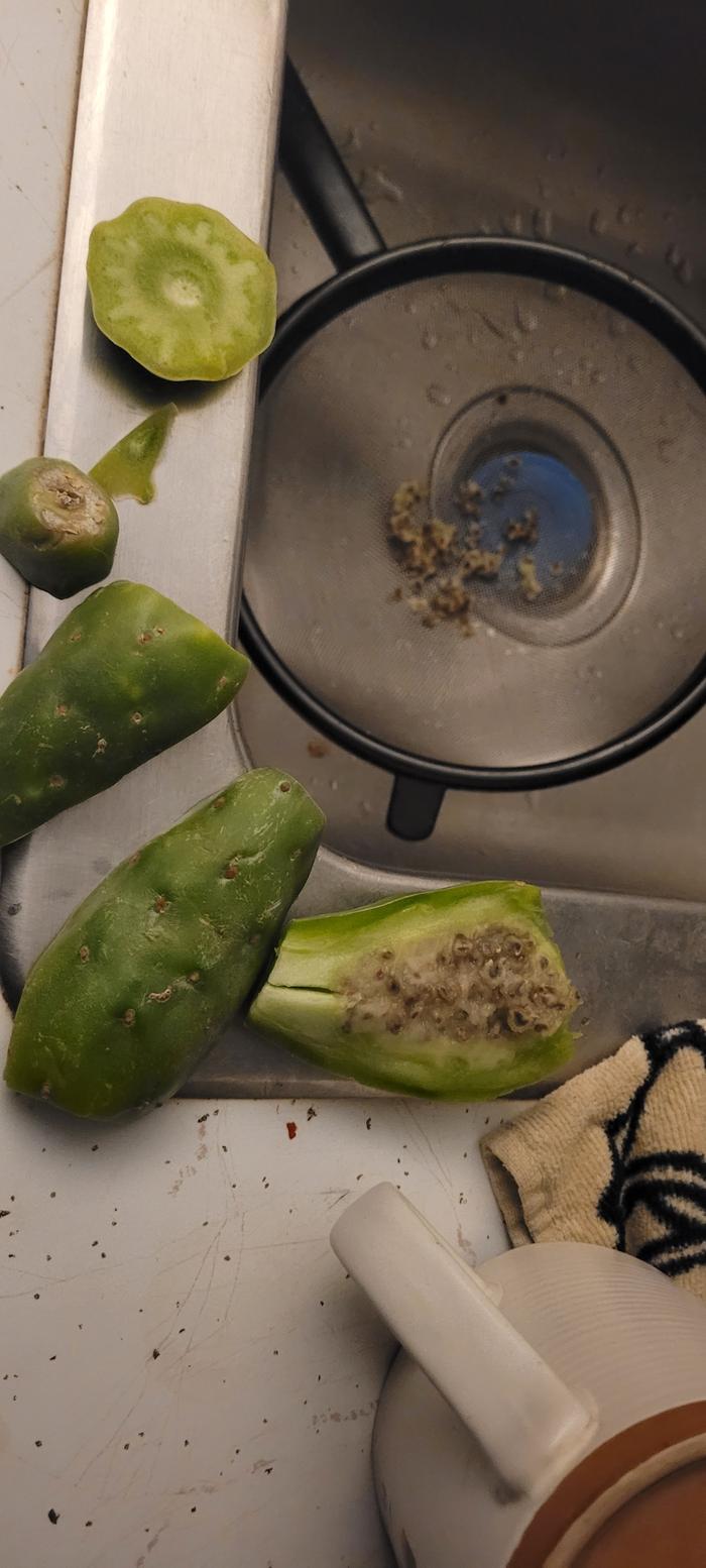 prickly pear cactus fruit, don't think it was fully ripe