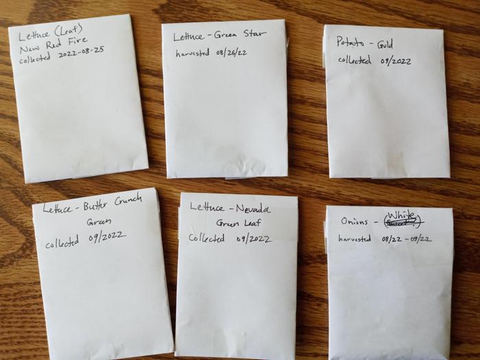 folded paper seed packets (lettuces, potato, onion)