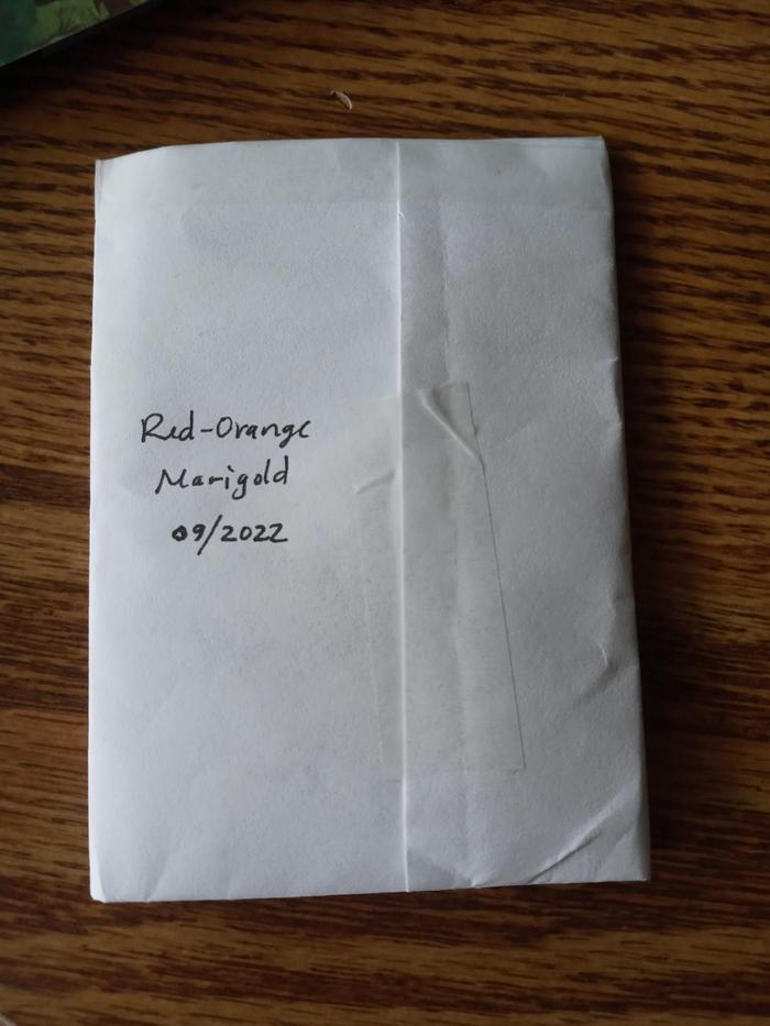 marigold seed packets