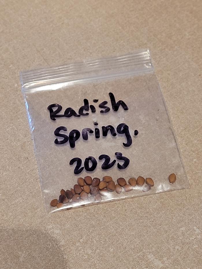 Stored in its own bag 