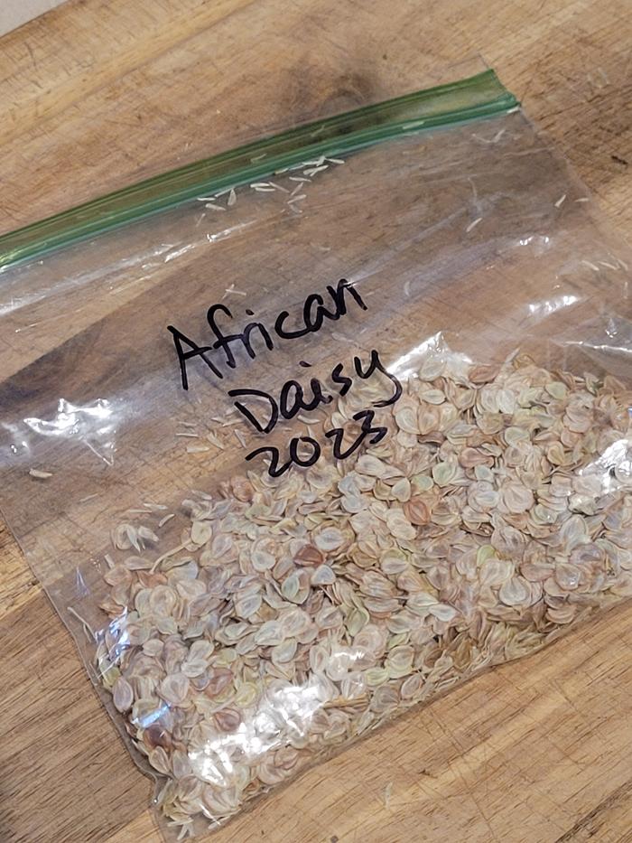 Stored in a Ziploc