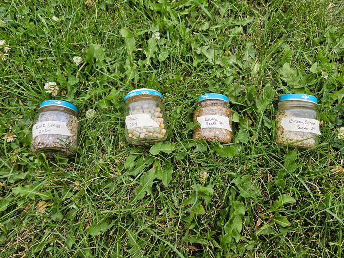 each of these 4 seeds, in their labeled container