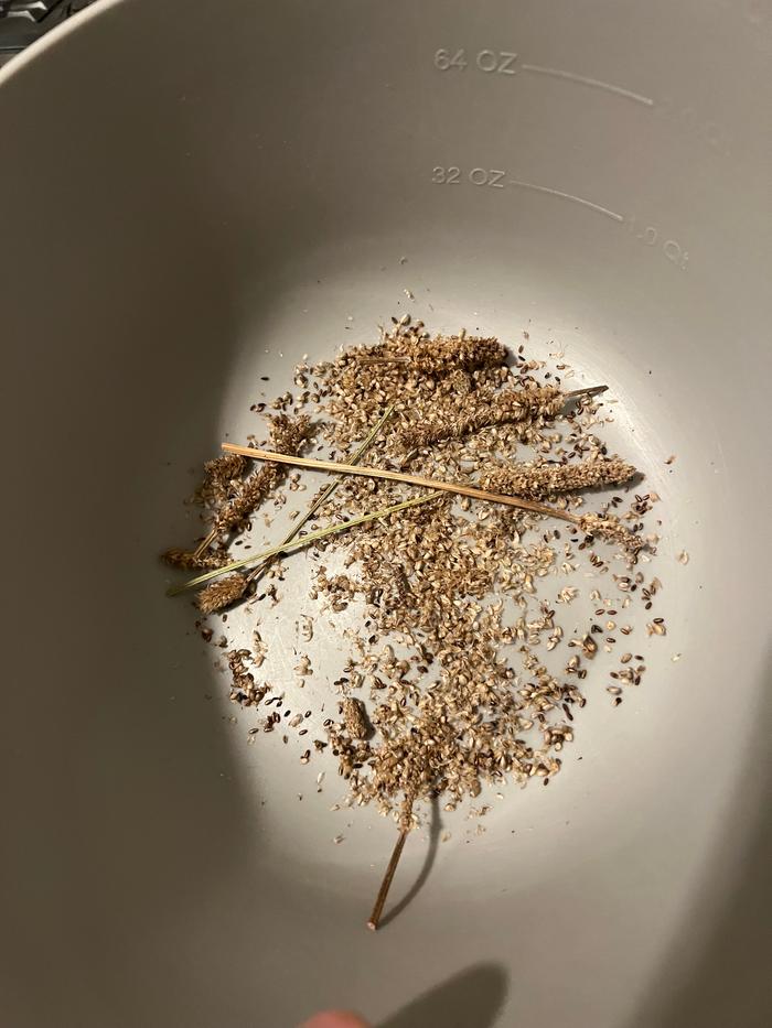 Seeds and chaff and stalks