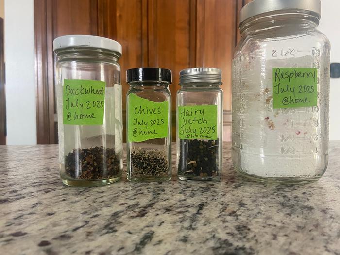 [Thumbnail for 2_4-seed-species-in-labeled-containers.jpg]