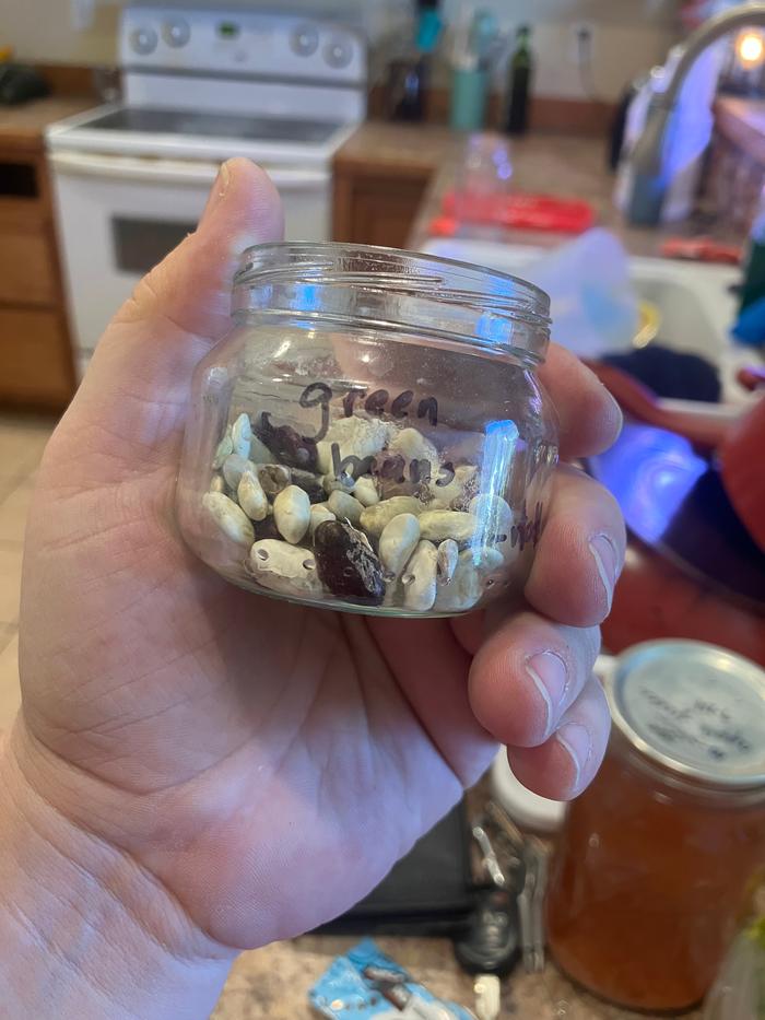 Labeled and stored for next year.i thought the variety of colors was pretty cool.