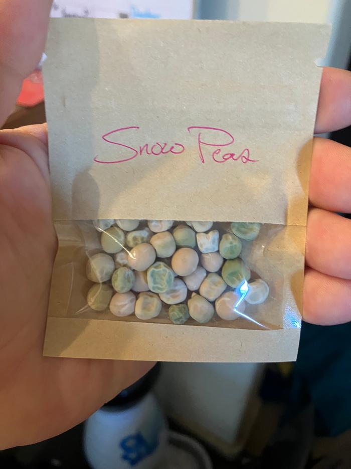 I harvested enough seeds to fill tons!! Of packets and a few baby food jars.