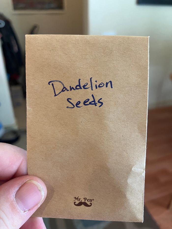 I hope to use them when I eventually make seed balls.