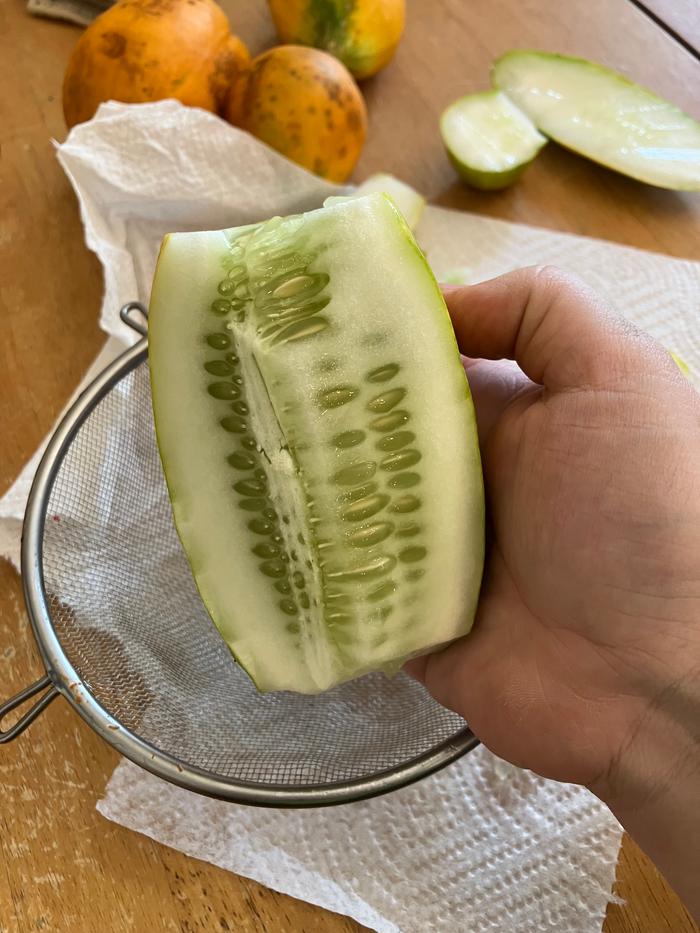 I had a couple over ripe cucumbers in the garden.