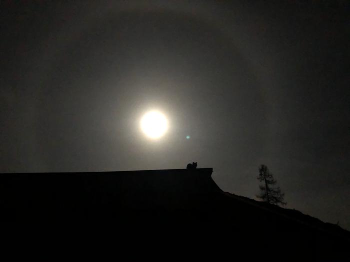 Full moon kitty on the abbey roof peak.