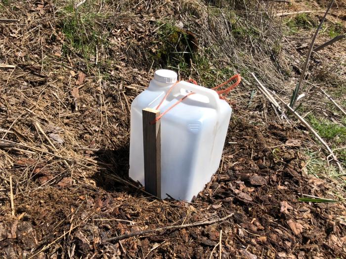 I turned a leaky plast jug into a bottle cloche for direct seeded tomatoes! We are still one month out from last frost so wish them luck.