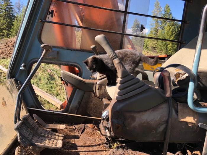 Everyone gets to drive the excavator.