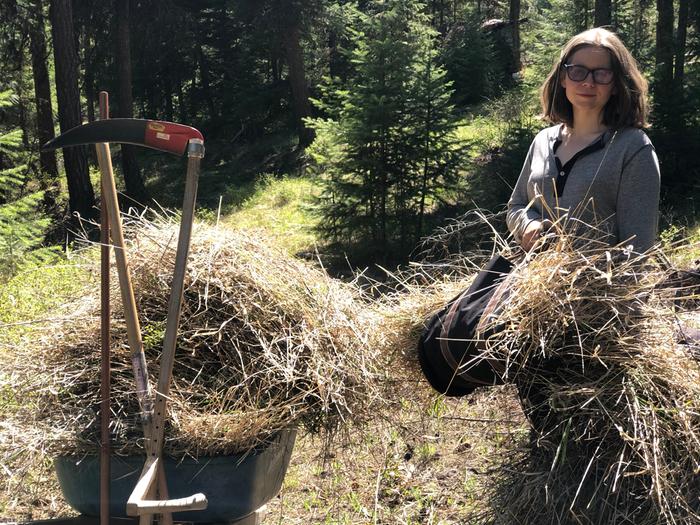 Jen and I tested the beautiful scythe that Greg sent today. We harvested mulch for some hazelnut trees that we are planning to get.