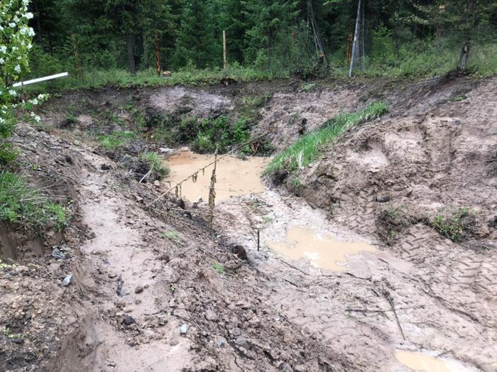 The unfinished pond at Allerton Abbey has been holding a couple hundred gallons of water for 5 days. Fred drove the tractor around in there last week before the rain.