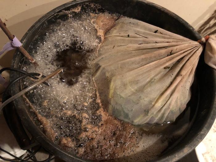 A rolling boil of bubbles. I put a bare root tart cherry tree in the tea to soak before we plant it out tonight