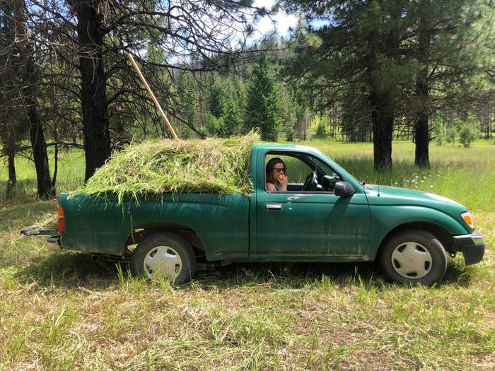 We cut three truckloads of hay today to mulch on our plots. Build that soil!