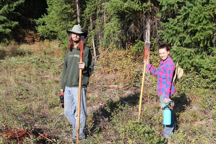 this crew harvested logs for the first wofati greenhouse