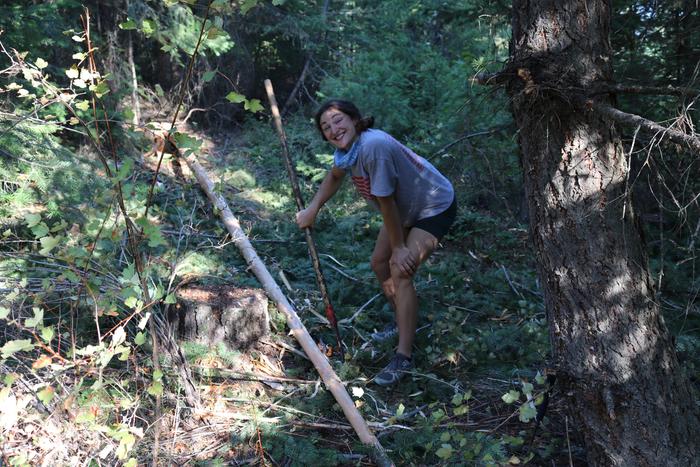 also harvesting logs