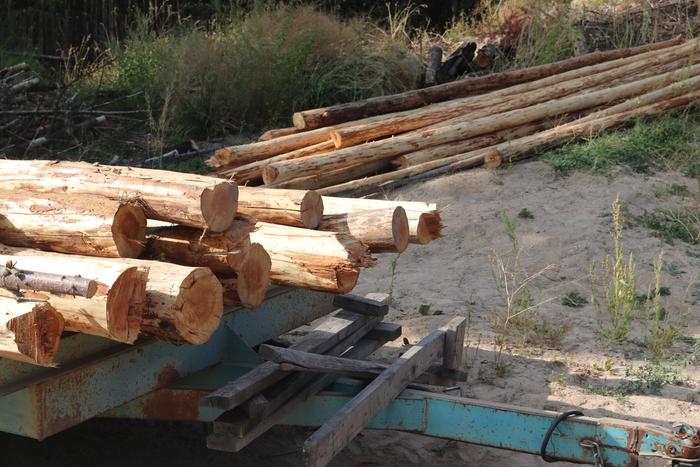 these are the logs