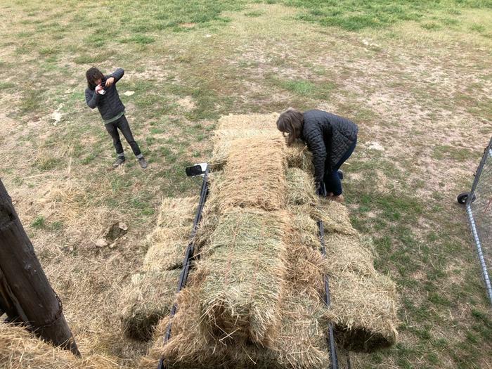 We got some hay to mulch our deep roots plots. I can hardly see the truck.