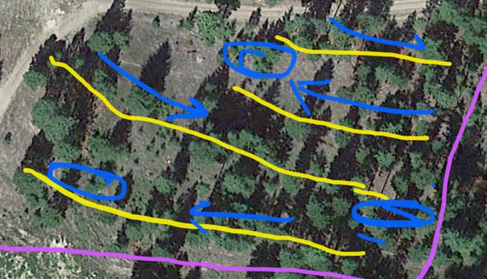 a doodle I made to explain the concept behind our earthworks design. yellow is access path/edge of terrace, blue shows water flows and stores, purple is plot boundary