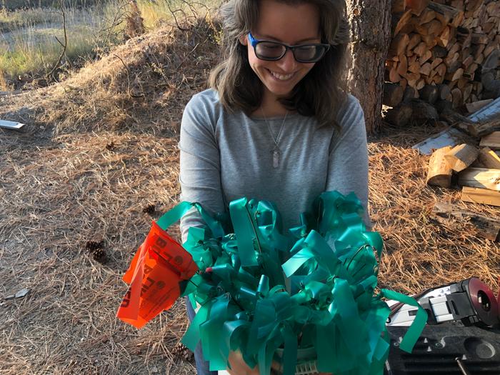 there is something about a bucket of survey flags that makes Jen feel wealthy