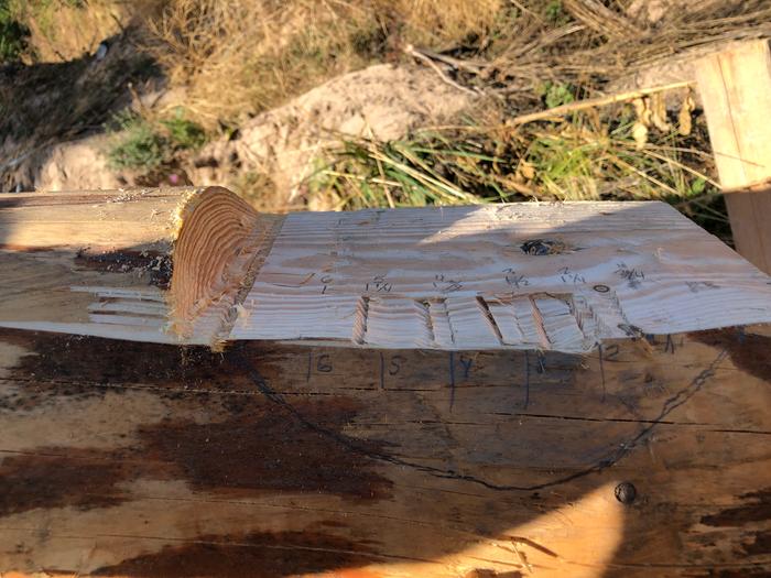 corresponding notch scribed onto rafter