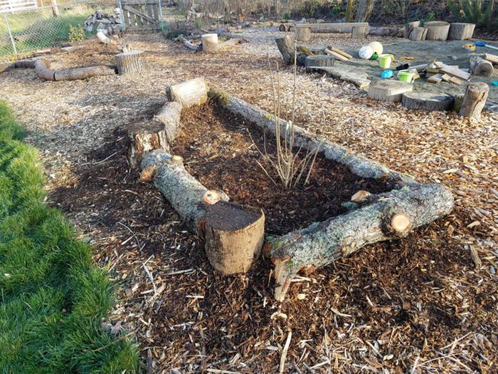 New small planting area--has a lilac but I'm also planting some edible greens in this area.