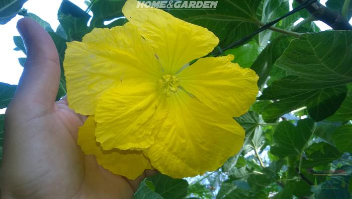 [Thumbnail for WP_20190914_08_19_11_Pro.jpg]