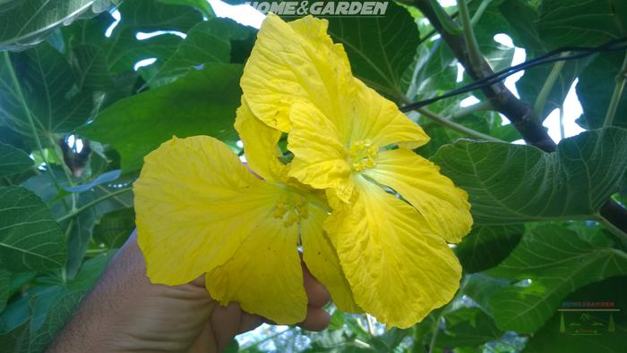 [Thumbnail for WP_20190914_08_18_53_Pro.jpg]