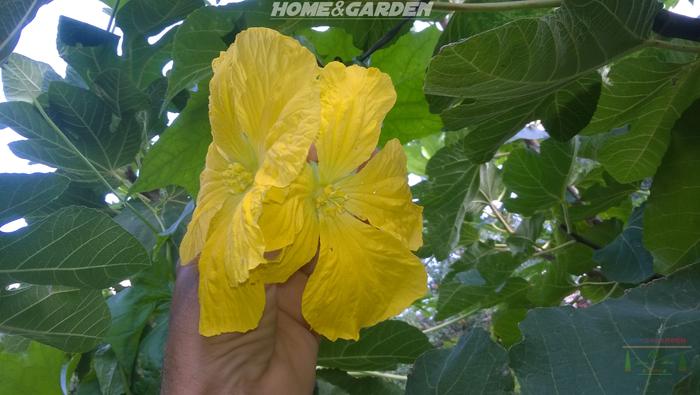 [Thumbnail for WP_20190914_08_18_01_Pro.jpg]