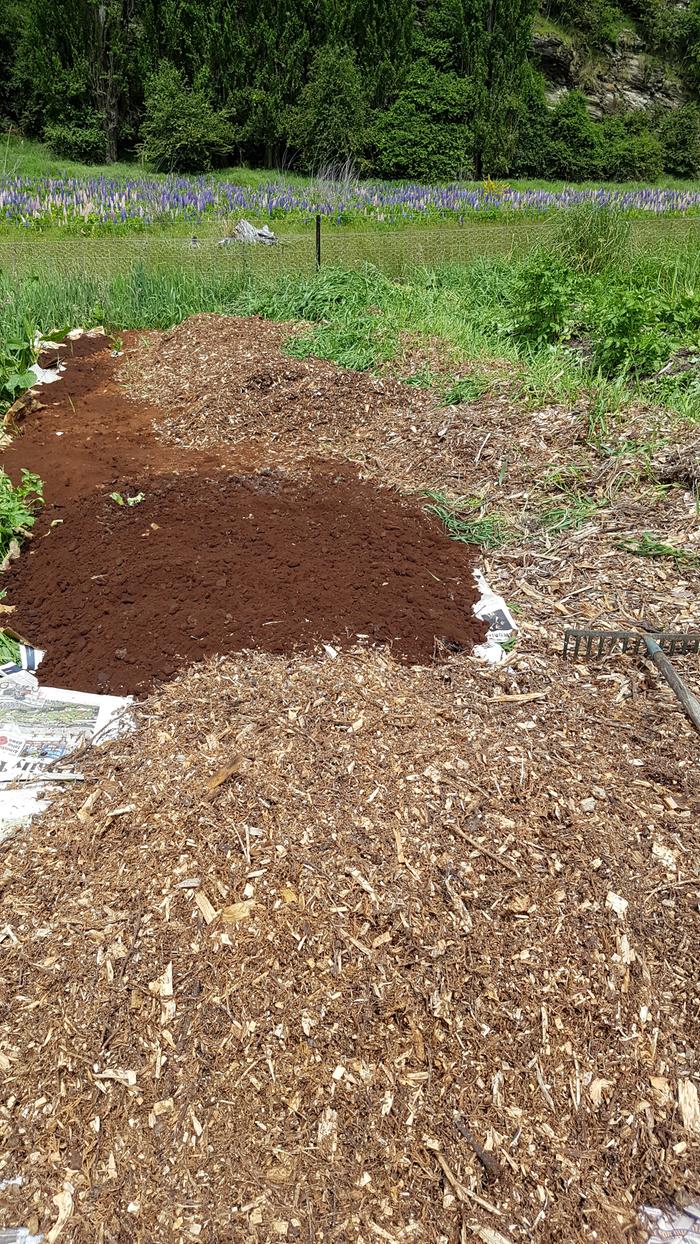 Woodchips, spent coffee grounds, cardboard mulch