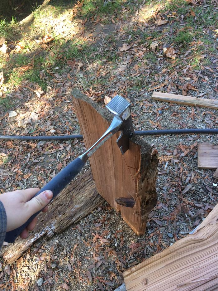 Cleaning up the edges of the shake to make sure it has a new surface on the edges