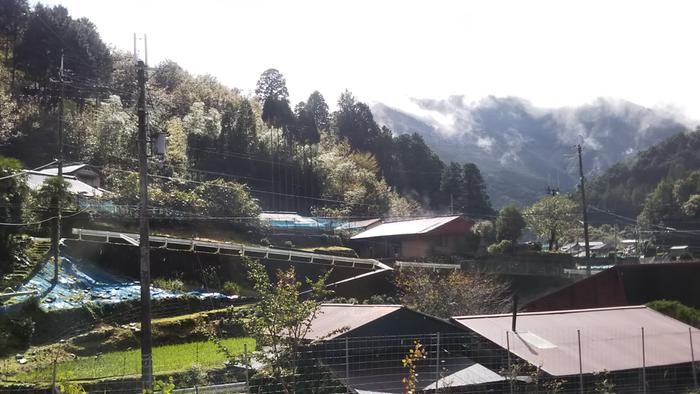 Notice the gleaming bamboo middle left and the clouds being formed in the mountain valleys center right