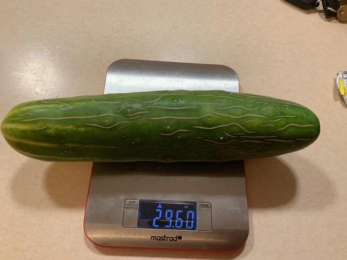 [Thumbnail for 6AA2F4BC-317E-442A-B1CE-BF27C1727FD6.jpeg]