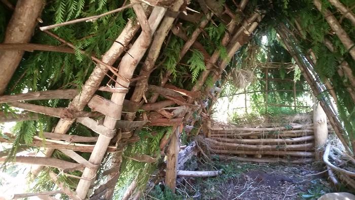 I didn't like how the branches were falling into the fort, so I took cedar bark from a tree I just peeled, and wove it for both reinforcement of the wall, and to keep the branches out.