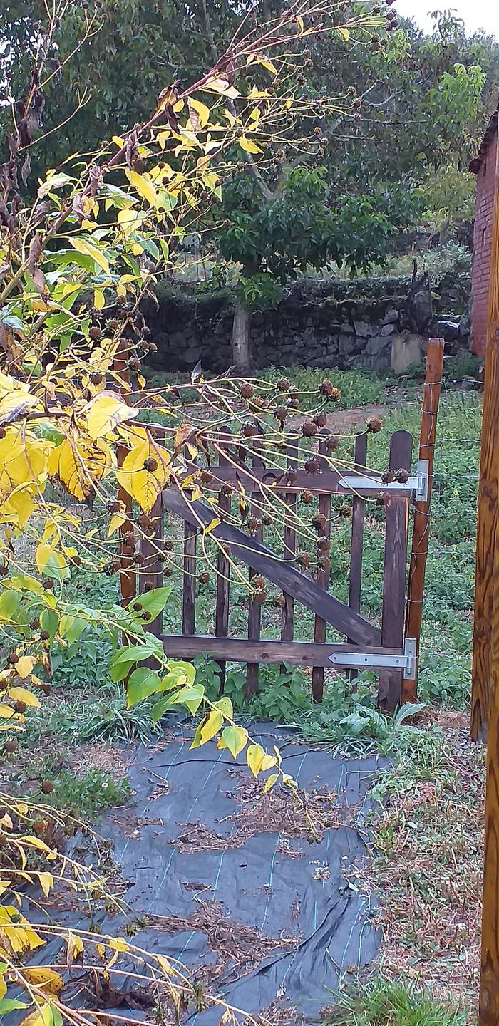 Gate to neighbours field to stop him tearing our feet ce down. Could be electrified...