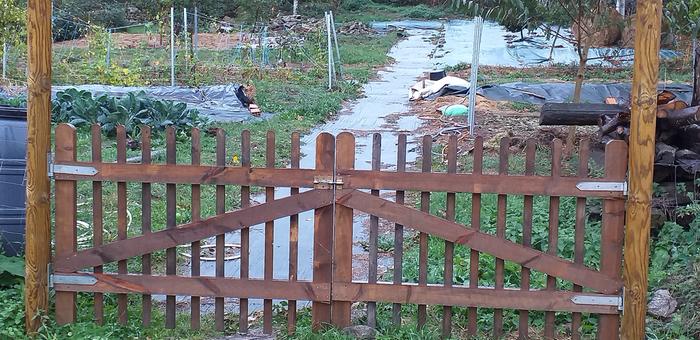 Low gates to orchard field, pallets, love them.