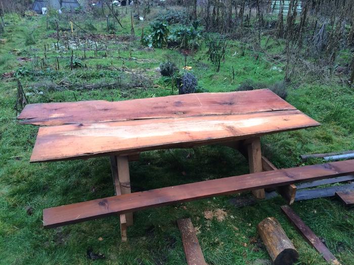 Cedar slab picnic table