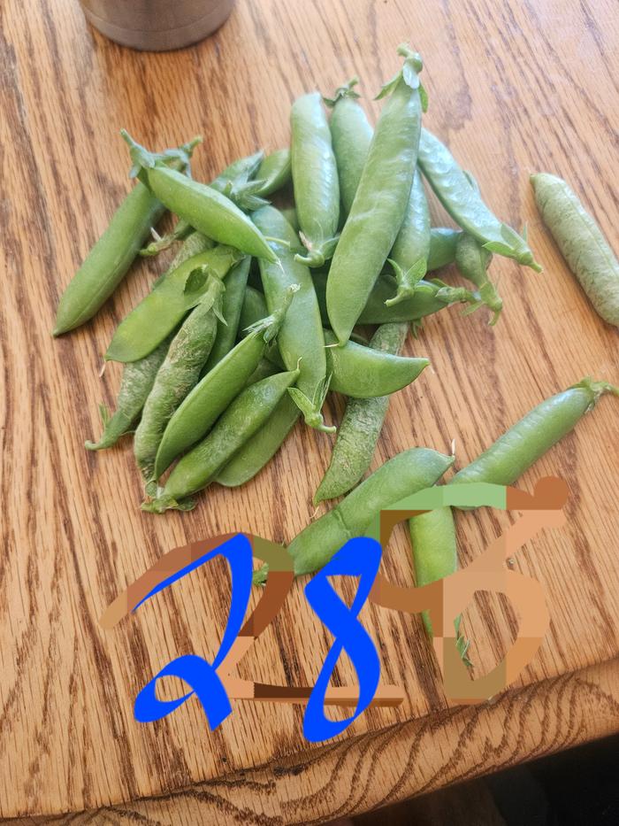 peas!