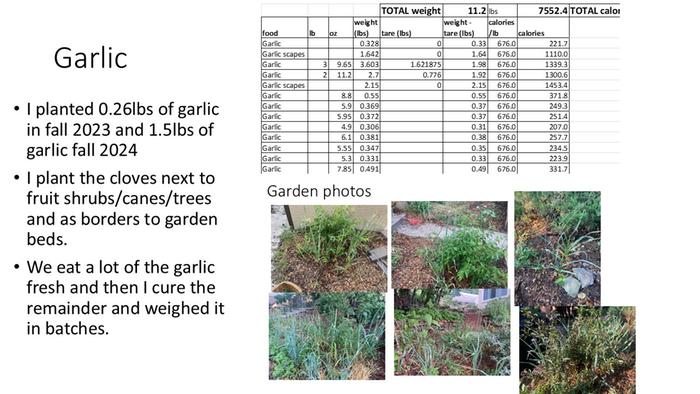 garlic summary