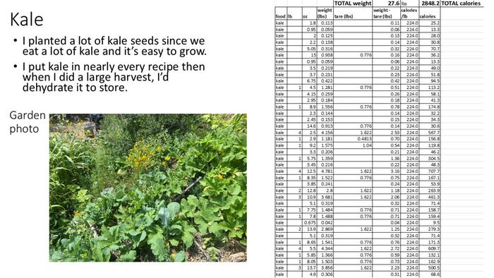 kale summary